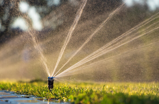 Irrigation & Landscaping